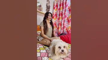 Let S Confuse Boys Priyankatyagi Shorts Youtubeshorts Comedy 