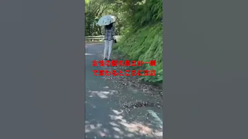 TBS系 口を揃えた怖い話 で紹介された動画 日傘の女 女性の髪の長さが一瞬で変わるところに注目 