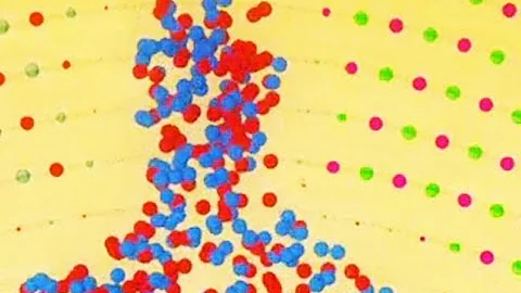 Why Do We Feel Nostalgia?