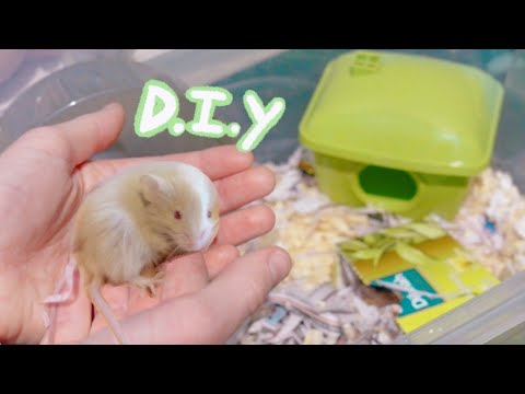 How To Make a Bin Cage for Mice