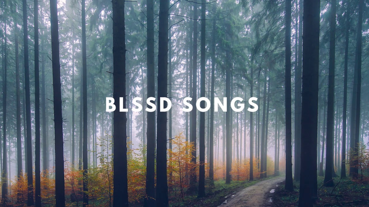 Watch Splendor Tree - Ocean on YouTube Watch Splendor Tree - Ocean on YouTube