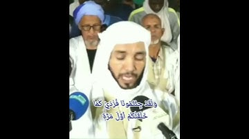 القارئ محمد سالم ولد زين من صلاة التراويح