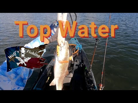 Fall Top Water Fishing, Wolf's Fishing Corpus Christi Texas 2022 