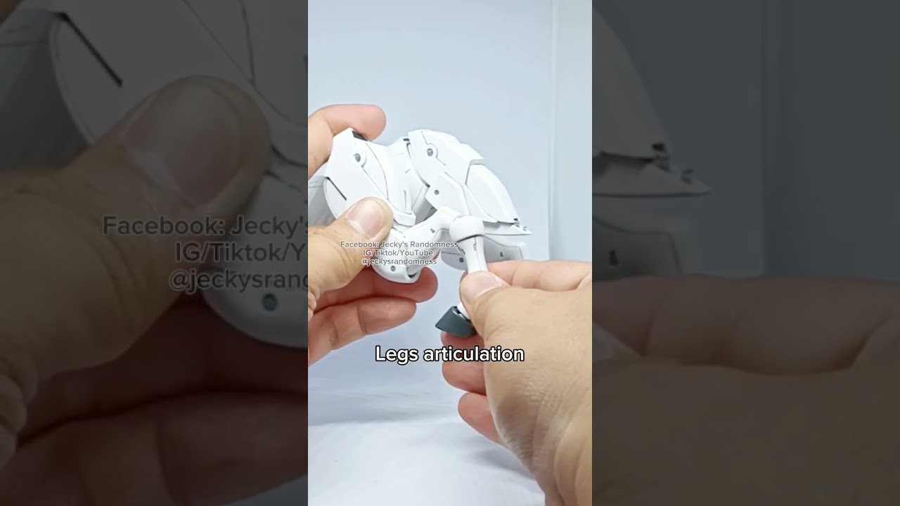 EFFECTS WINGS 1/144 FUUNSAIKI 