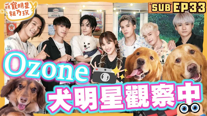 [SUB] EP33 Ozone粗乃玩！犬明星觀察中 狗狗忠誠度大考驗！ 呵喜投奔帥哥 Sandy喊絕交【 萌寵明星粗乃玩 】周祖安 周子翔 黃文廷 林佳辰 林煥鈞 李哲言 姆路 Leo GUCCI - 天天要聞