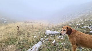 Sulle traccie di un passato che non tornerà mai più!!!!⛰‍♂⌛⏳ ☆ from 27 giugno 2023☆