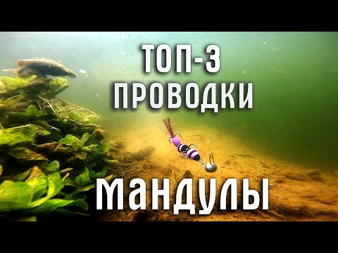 Приманка МАНДУЛА. ТОП-3 ПРОВОДКИ! Как правильно подать приманку?