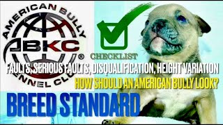 Abkc Breed Standard Pt 4 Faults Disqualification Pocket Clic Xl How Does An American Bully