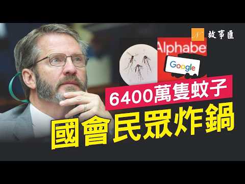 谷歌要放6400萬隻蚊子？美國兩州居民質疑：這是科學，還是實驗？#谷歌 #蚊子 #生物科技 | 故事匯 第B106期 20260609