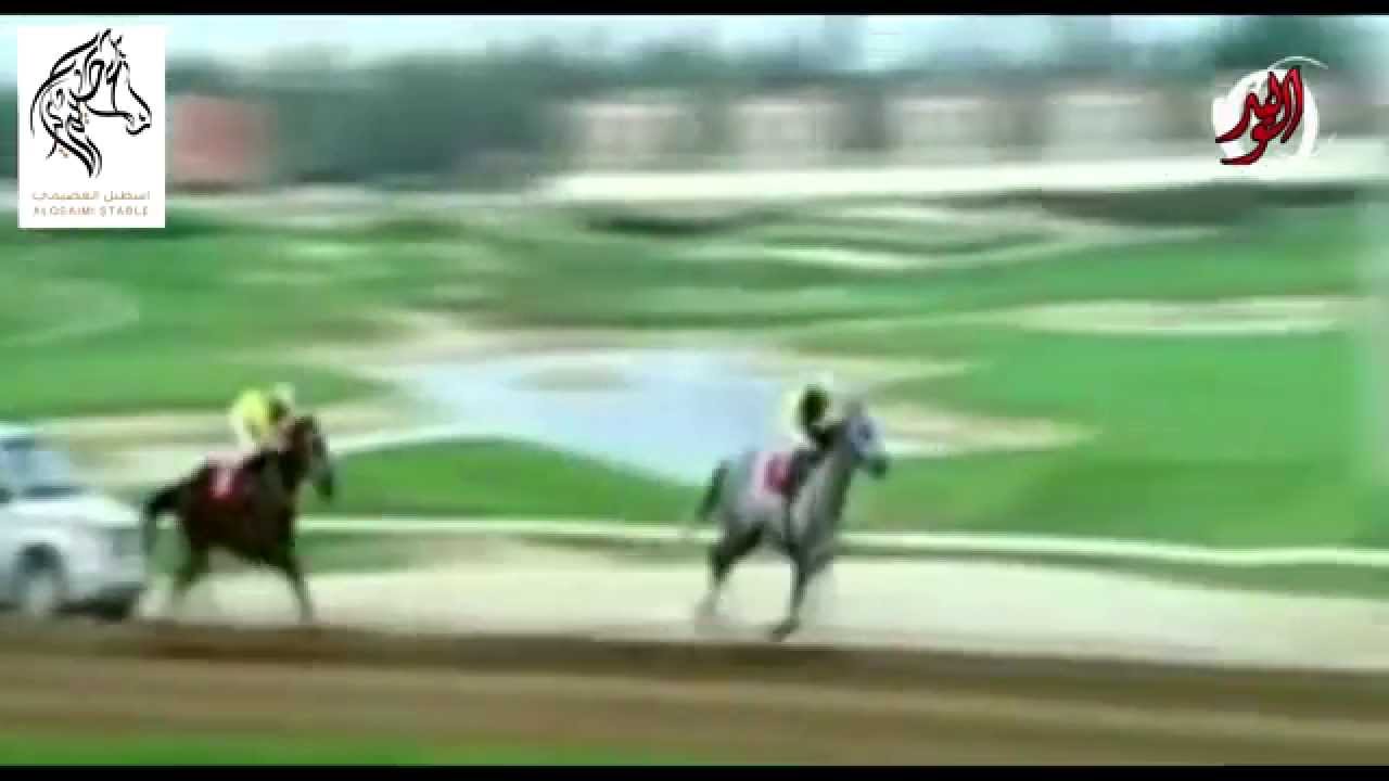 نهارنا يا عتيبه الهيلا نهار كلمات عبدالله سعد الجعيداني اداء العذب تنفيذ الوليد العصيمي