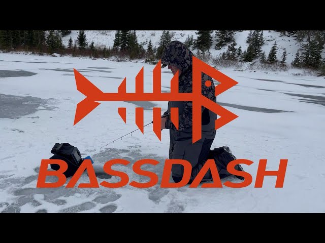 BASSDASH Men's Splice Insulated Waterproof Fishing Hunting Bibs 