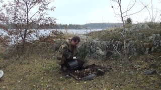 Посадка первого кедра на Ладоге в шхерах. Автор видео - Игорь Маяченков. Сентябрь 2016 года