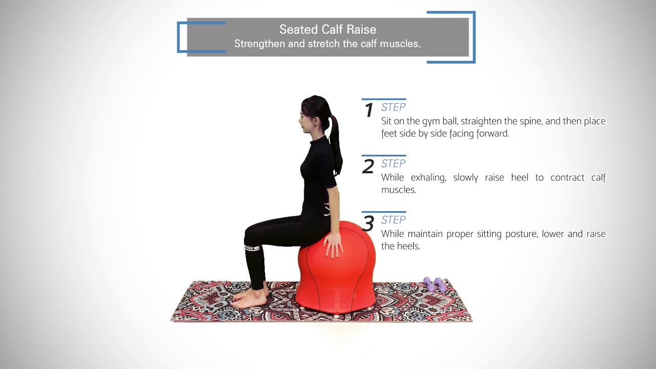 [ARI-Gym] 28 Seated Calf Raise | Gym Ball Lower Extremity Exercise ...