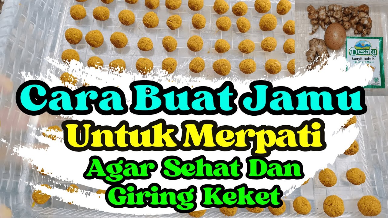 CARA BIKIN JAMU AGAR MERPATI GIRING KERAS
