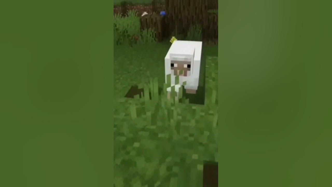 Мудрый дуб - YouTube