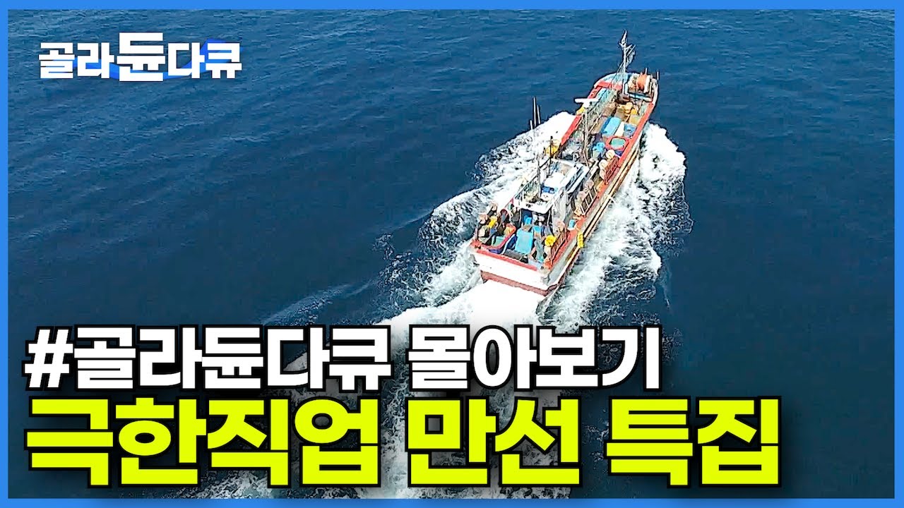 🏅오늘도 결국 만선!✨ 한 치 앞도 내다볼 수 없는 바다에서 오늘도 만선을 꿈꾼다!┃어부들의 파란만장 출항기┃꽁치 오징어 복어 아귀 꽃게┃만선 특집┃극한직업 몰아보기┃#골라듄다큐