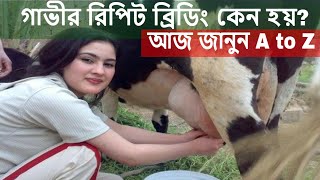গাভীর রিপিট ব্রিডিং কেন হয় | পরামর্শ দিচ্ছেন ডাঃ মেহেদী হাসান | Cows repeat breeding