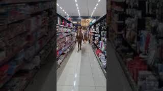 Entrou de CAVALO no SUPERMERCADO