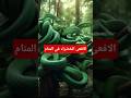 تفسير احلام تفسير رؤية افعى خضراء تلاحقك في المنام تفسير الأحلام معلومات هل تعلم