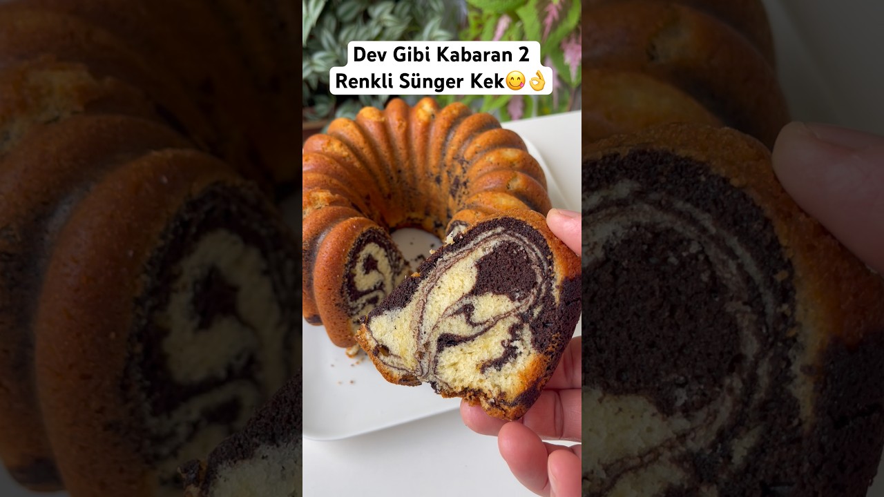 Dev Gibi Kabaran 2 Renkli Sünger Kek😋👌Tarifi kanalımda✅ #kek #kektarifleri