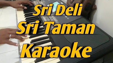 Sri Deli & Sri Taman KARAOKE Melayu Saiful Amri Korg Pa 600