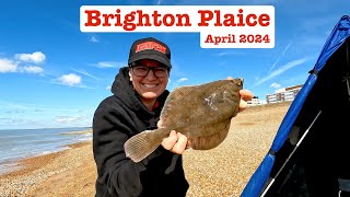 Brighton Plaice, April 2024