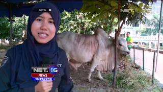 Persiapan Shalat Idul Adha di Masjid Istiqlal - NET16