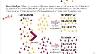 Math 119 1.3 Types of Experiments