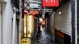 Tokyo Kichijoji Harmonica Alley Walk | 4K HDR