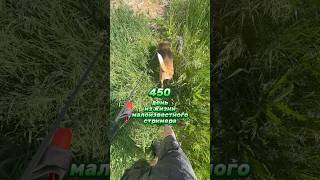 450й день из жизни малоизвестного стримера #влог #twitch #vlog #влог