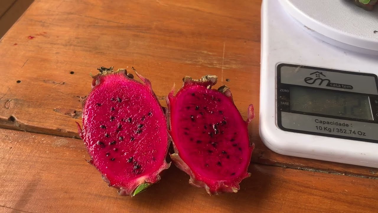 Pitaya Voodoo Child: em detalhes