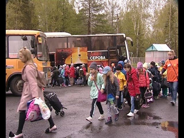 Сегодня стартовала первая смена в загородном оздоровительном лагере «Веселый бор»