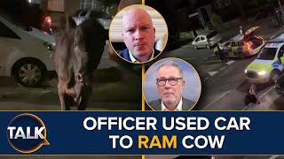 “We Need Cowboys” | Officer Who Rammed Car Into Cow Removed From Frontline Duties