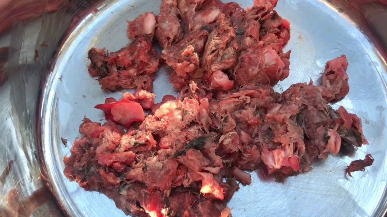 modeling Rabbit with Fur and Duck Blend - Real Raw Dog Food