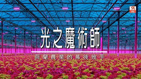 【i MEAN WELL】光之魔術師— 荷蘭農業的幕後推手 - 天天要聞