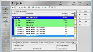 WBS - Primavera P6