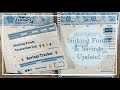 ❄️ January Budget Setup | Sinking Funds &amp; Savings Tracker Update | Budget w. me | EC Monthly Planner