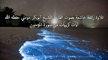 أجمل تلاوة سمعتها في حياتي بصوت الشيخ أبوبكر مومني حفظه الله
