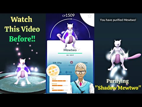 best move set for purified and shadow mewtwo - Pokémon GO Coordinates