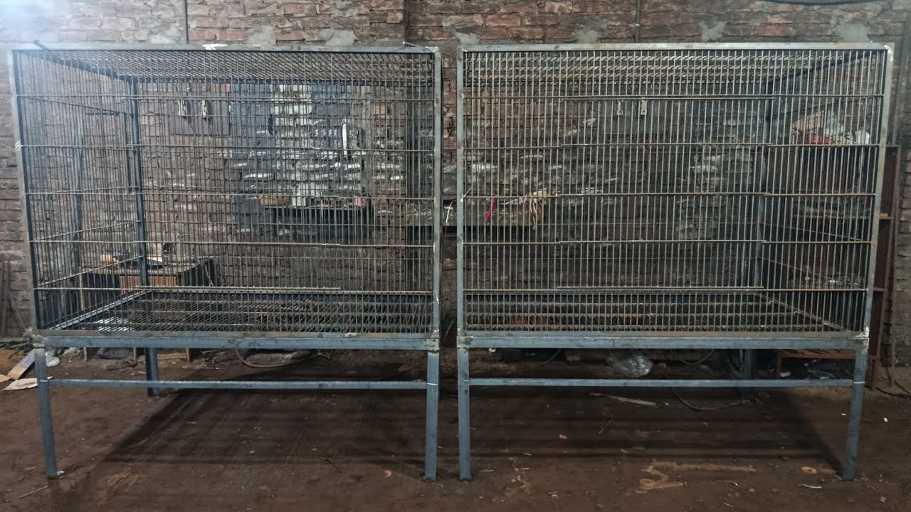 নতুন মডেলের ধাপড়ি। কেজি দরে ধাপড়ি নিতে পারেন 01992649672