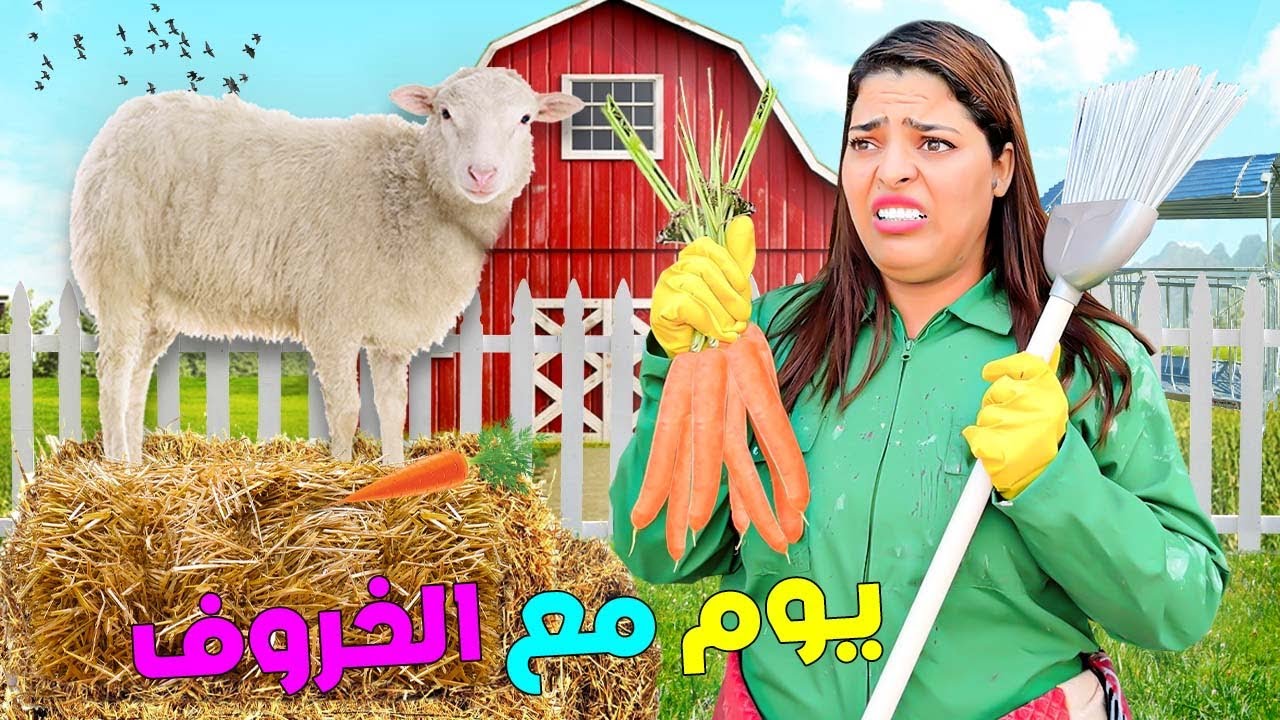 للاسف..الخروف خرب المنزل🐏 لكن عاش يوم ملكي👑وتكلفنا بالتنظيف💩( و ندمنا🤮 )