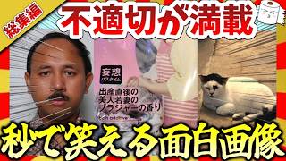 【🔥爆笑：総集編】何度見ても笑う不適切さ満載な面白画像＆映像集！｜楽しいとこ取り🔥ガルちゃんねる