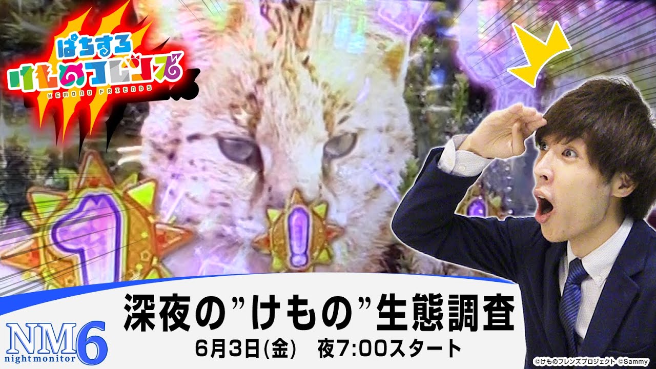 6号機 けものフレンズ 実機 家庭用フルセット！ 6号機 けものフレンズ