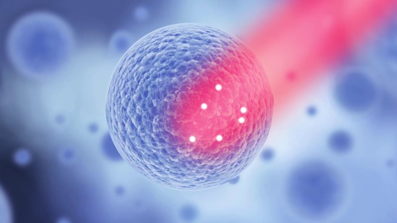 La Fotobiomodulazione Con THEAL Therapy YouTube