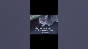 يَا قَوْمِ إِنَّمَا هَـٰذِهِ الْحَيَاةُ الدُّنْيَا مَتَاعٌ | محمد صديق المنشاوي | سورة غافر