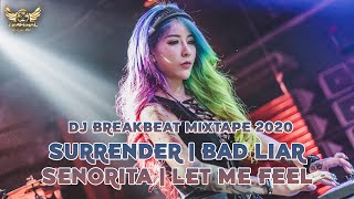 DJ BREAKBEAT MIXTAPE 2020 SURRENDER | BAD LIAR !!!