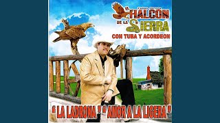 Watch El Halcon De La Sierra Que Tal Si Te Compro video