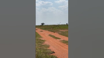 RC Glider RES ( rudder, elevator, stabiliser) coming in to land