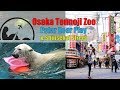 Osaka Tennoji Zoo and Shinsekai  - Family Fun Travel [4K]