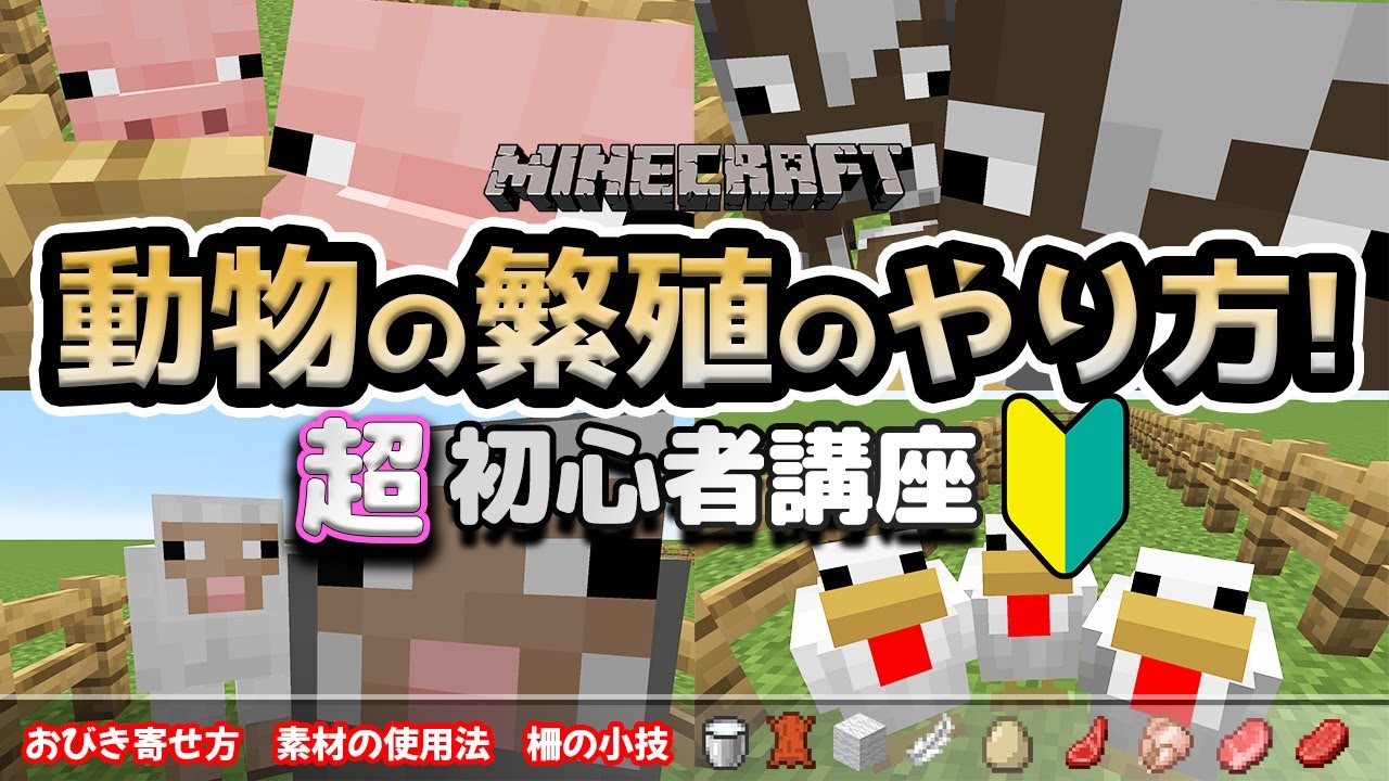 マイクラ 動物の繁殖の基本を解説 初心者講座 Minecraft 統合版 Pc Ps4 Xbox スイッチ Switch スマホ Pe Youtube